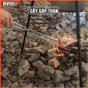 Cây Kẹp Than Iox 55cm